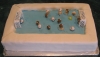 Water Polo Cake